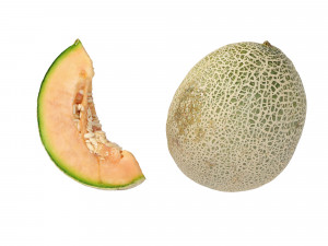 Melons Modèle 3D