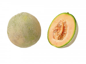 Melons Modèle 3D