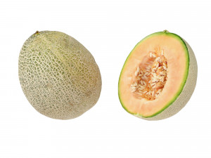 Melons Modèle 3D