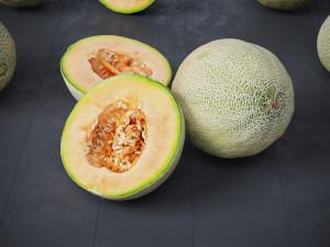 Melons Modèle 3D