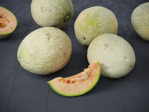 Melons Modèle 3D