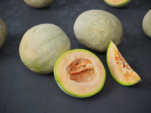 Melons Modèle 3D