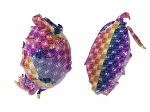 Melons Modèle 3D