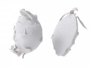Melons Modèle 3D