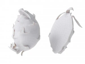 Frutas do Drag&atilde;o Modelo 3D