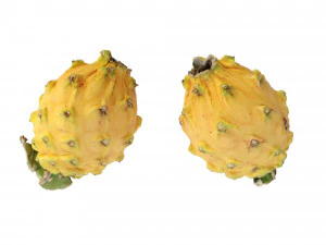 Dragon Fruits Yellow 3D Model