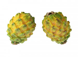Dragon Fruits Yellow 3D Model
