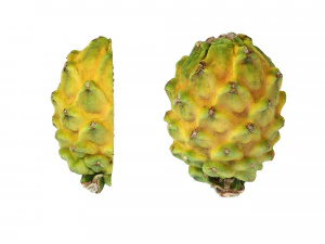 Dragon Fruits Yellow 3D Model