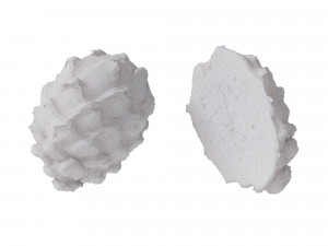 Dragon Fruits Yellow 3D-Modell