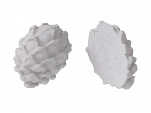 Dragon Fruits Yellow 3D-Modell