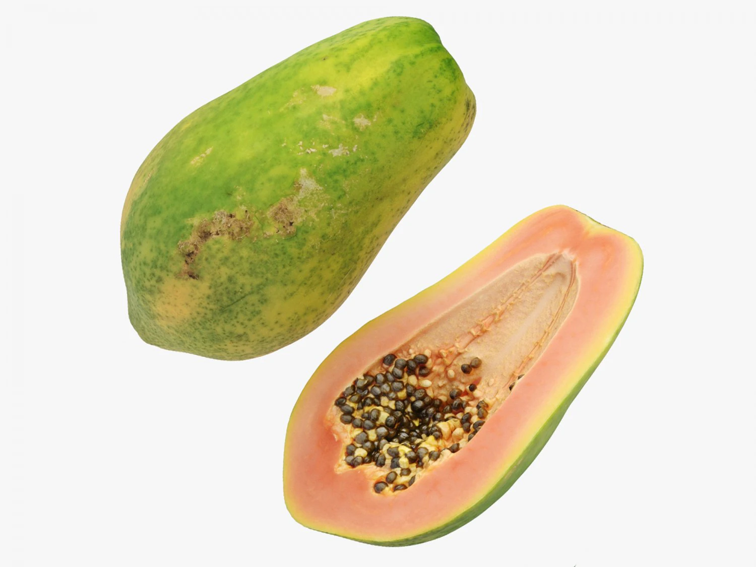 Papaia Modello 3D .c4d .max .obj .3ds .fbx .stl .blend 