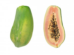 Papaya 3D Model
