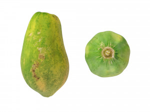 Papaya 3D Model