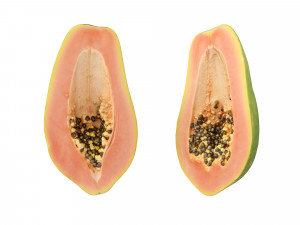 Papaya 3D Model