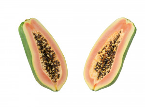 Papaya 3D Model