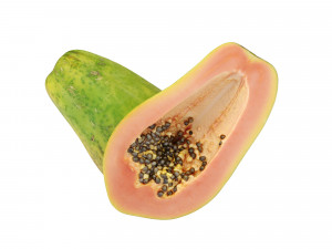 Papaya 3D Model