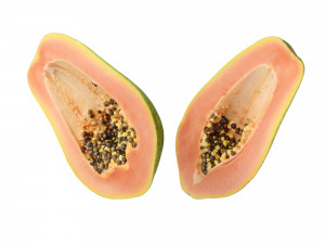 Papaya 3D Model