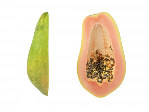 Papaya 3D Model