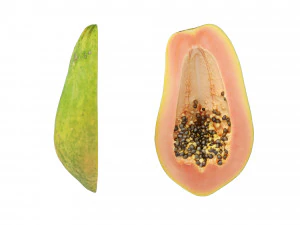 Papaia Modello 3D