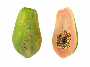 Papaya 3D Model