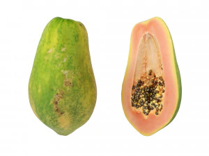 Papaia Modello 3D