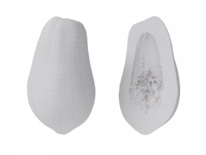 Papaya 3D Model