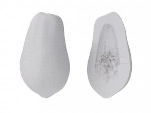 Papaia Modello 3D