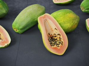 Papaya 3D Model