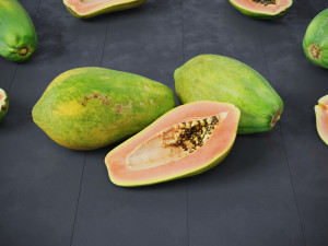 Papaya 3D Model