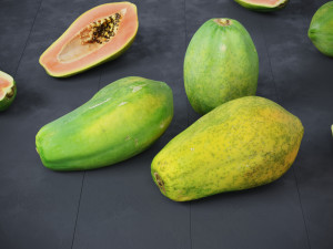Papaya 3D Model