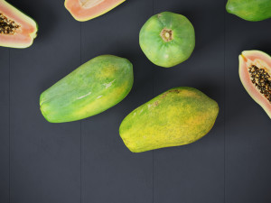 Papaya 3D Model