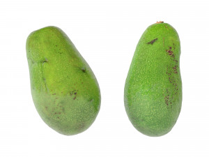 Avocado green Modelo 3D