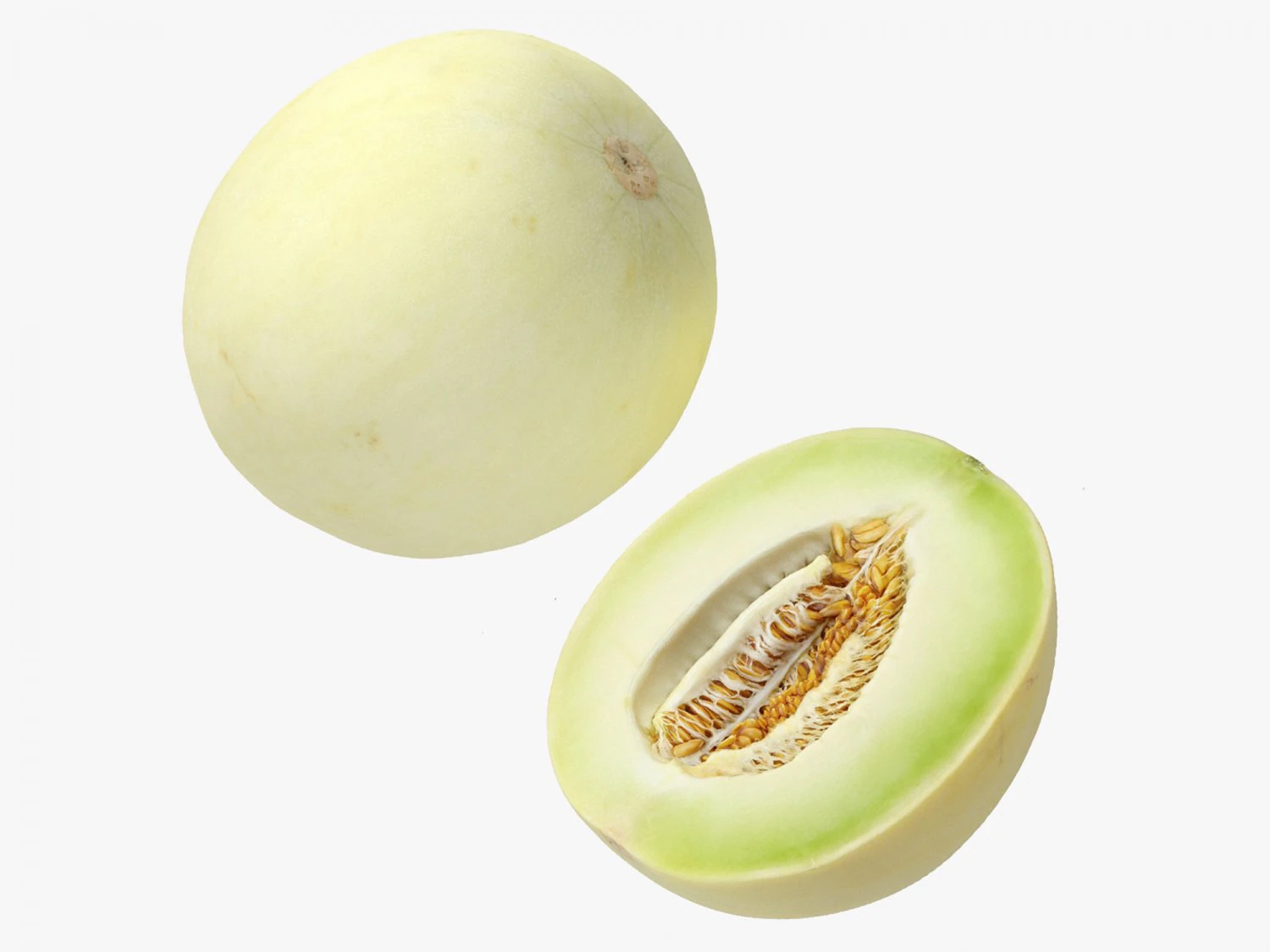 Honeydew Melon 3D Model .c4d .max .obj .3ds .fbx .stl .blend 
