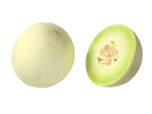 Honeydew Melon 3D Model