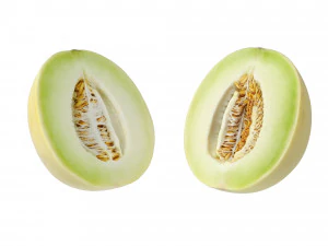 Honeydew Melon 3D Model