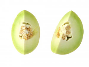 Honeydew Melon 3D Model