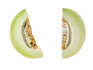 Honeydew Melon 3D Model
