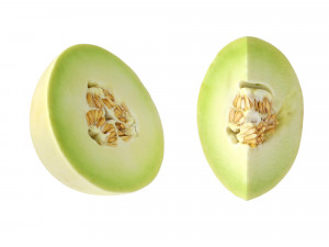 Honeydew Melon 3D-Modell