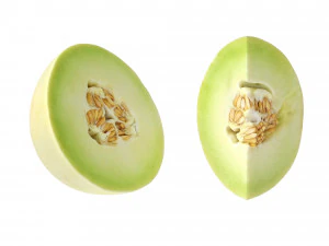 Honeydew Melon 3D Model
