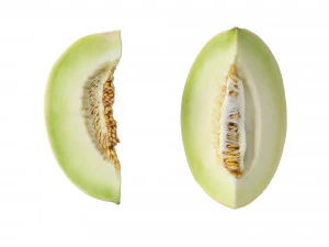 Honeydew Melon 3D Model