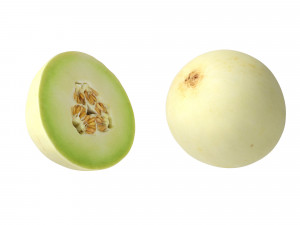 Honeydew Melon 3D-Modell