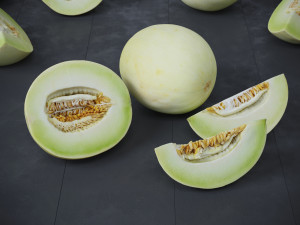 Honeydew Melon 3D-Modell