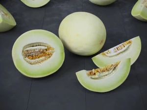 Honeydew Melon 3D Model