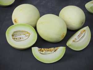 Honeydew Melon 3D Model