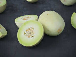 Honeydew Melon 3D-Modell