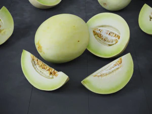 Honeydew Melon 3D Model