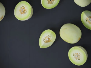 Honeydew Melon 3D Model