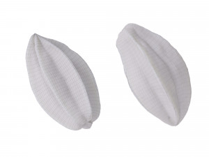 Star Fruits Modello 3D