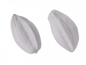 Star Fruits Modello 3D