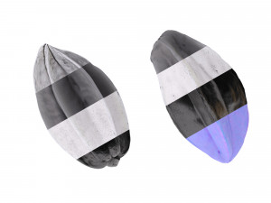 Star Fruits Modello 3D